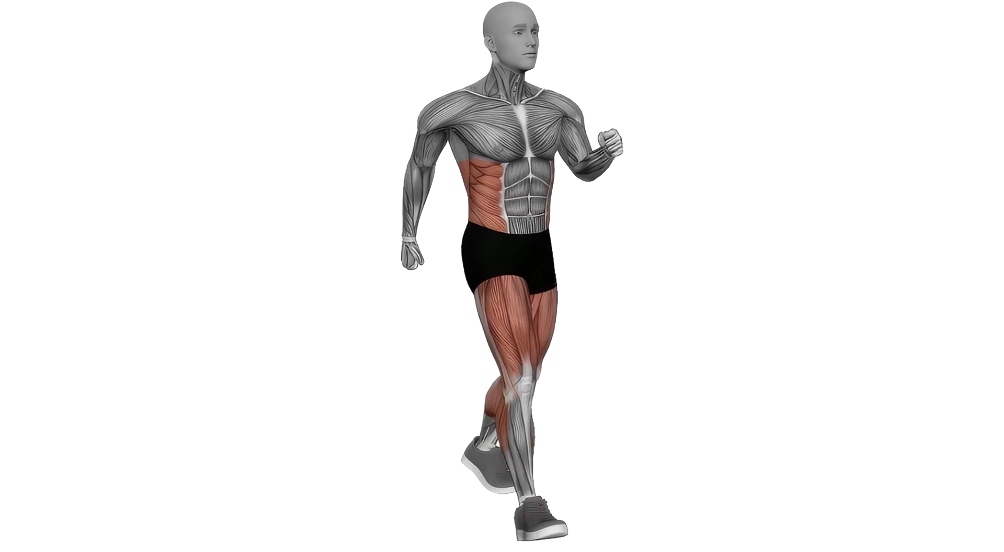 01_Cardio