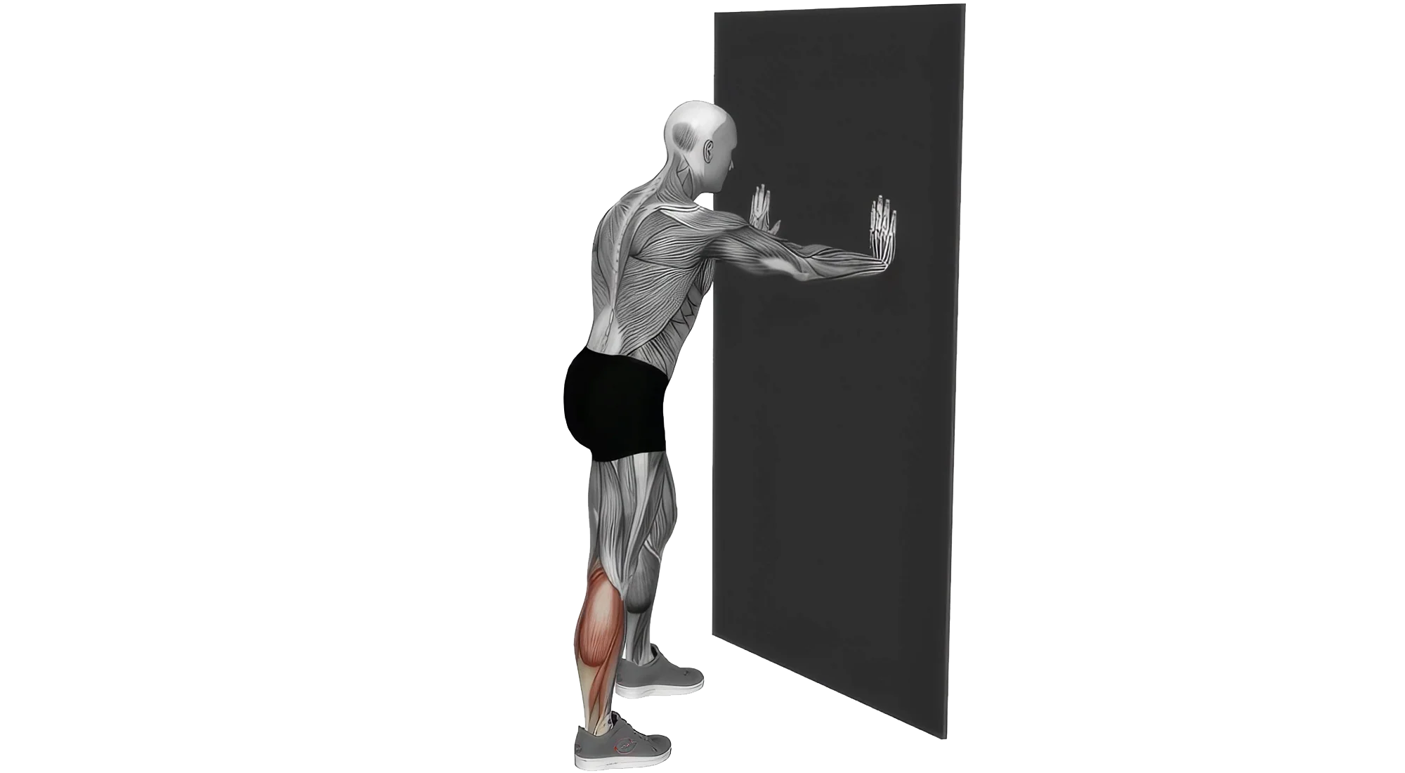 01_Stretch