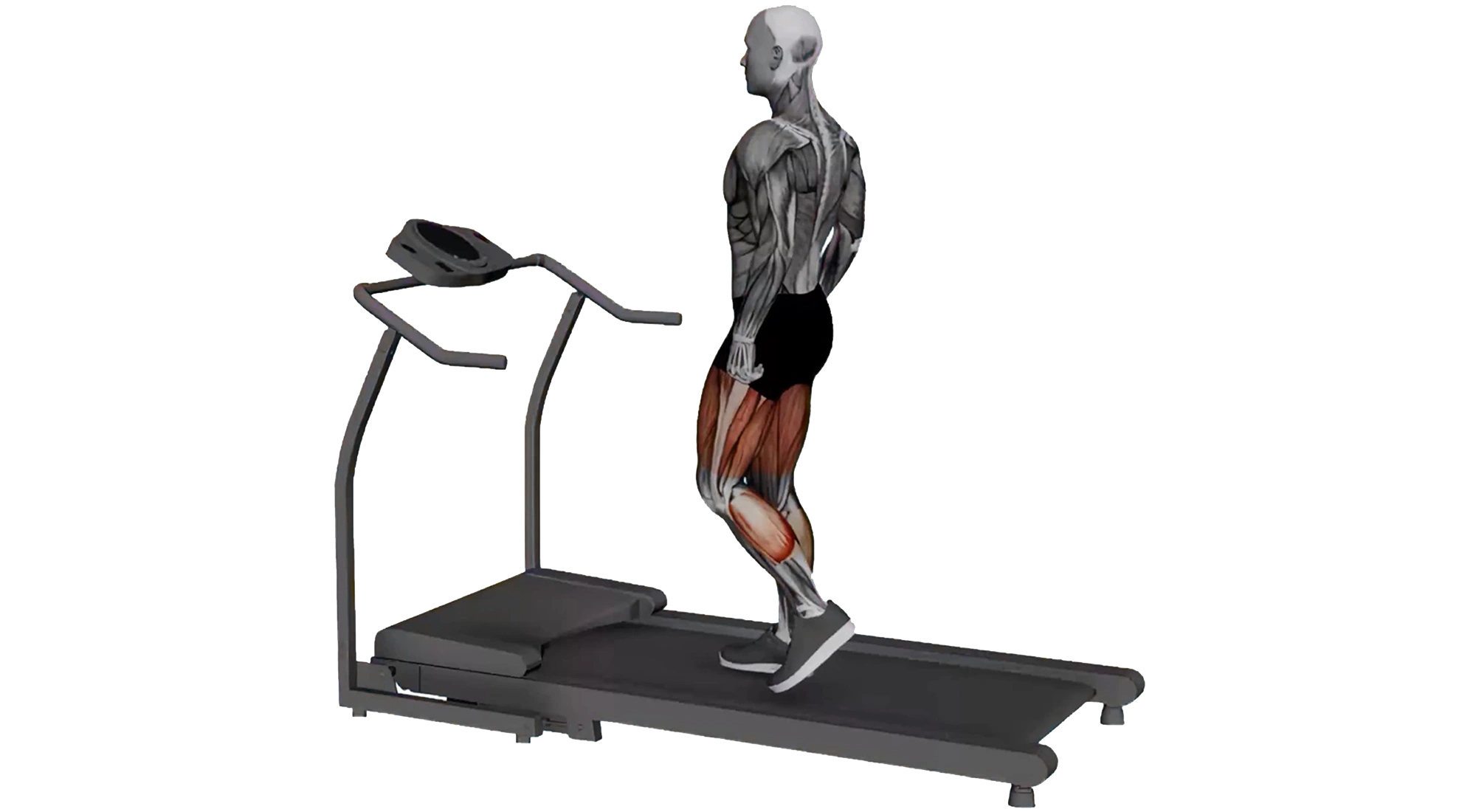 02_Cardio