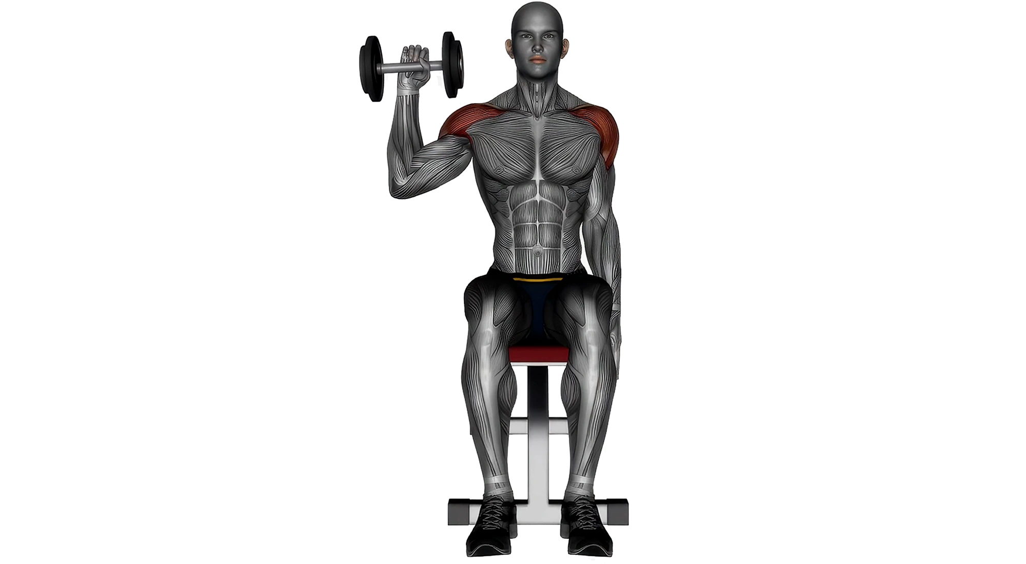 02_Shoulders
