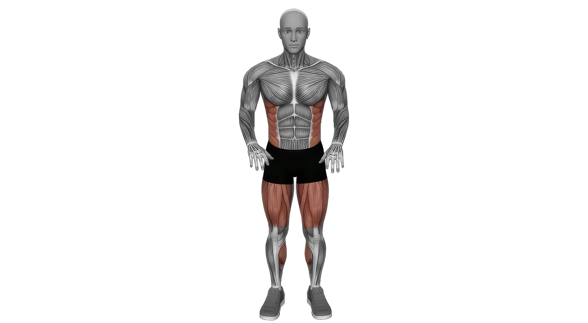 03_Cardio