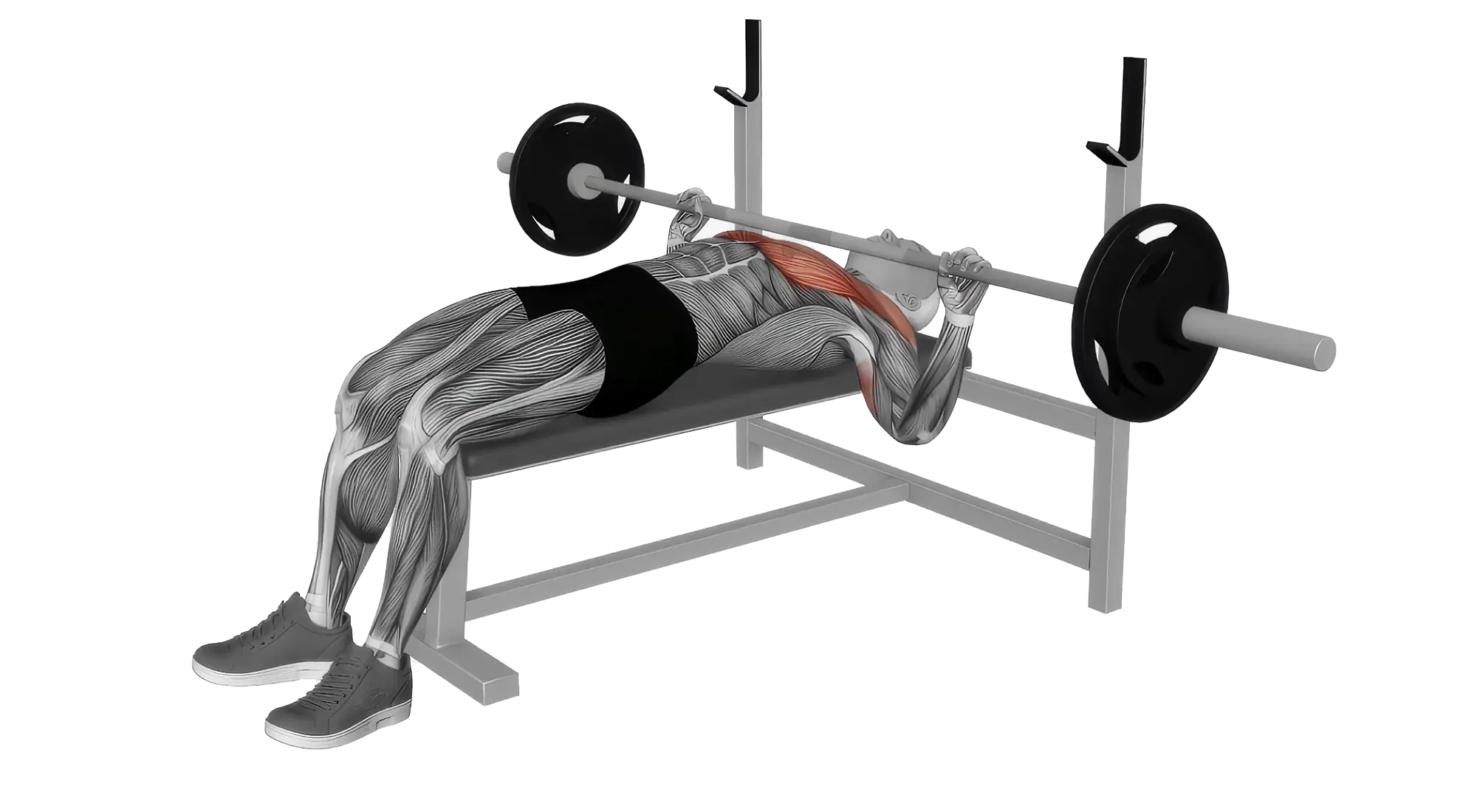 03_Chest(1)