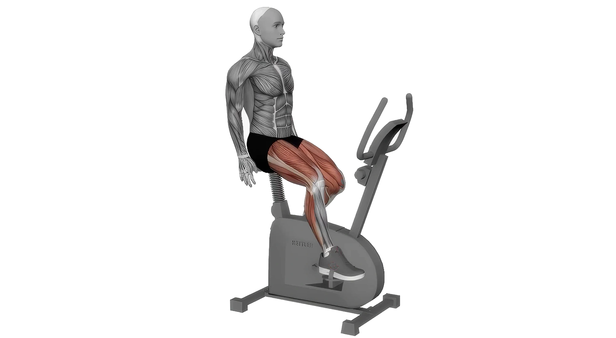 04_Cardio