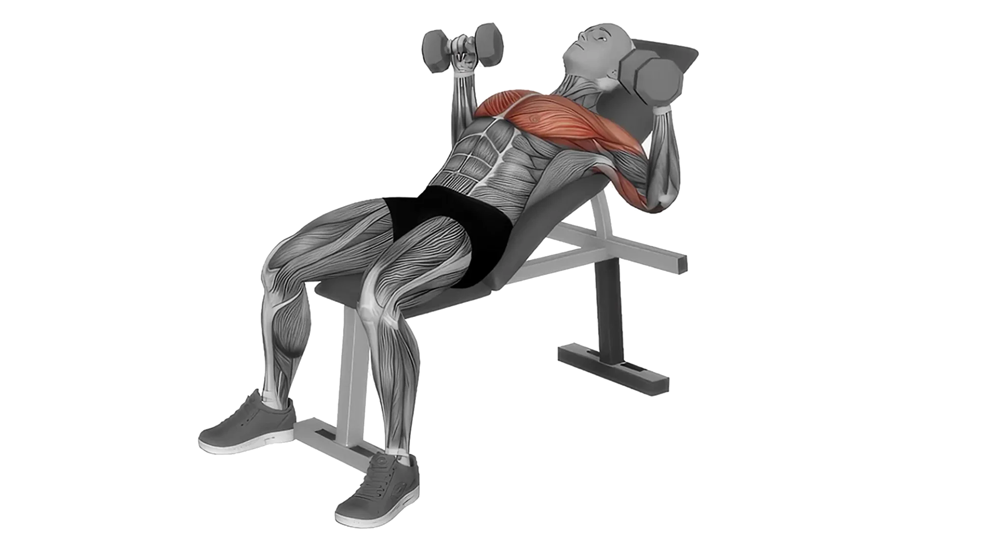 04_Chest