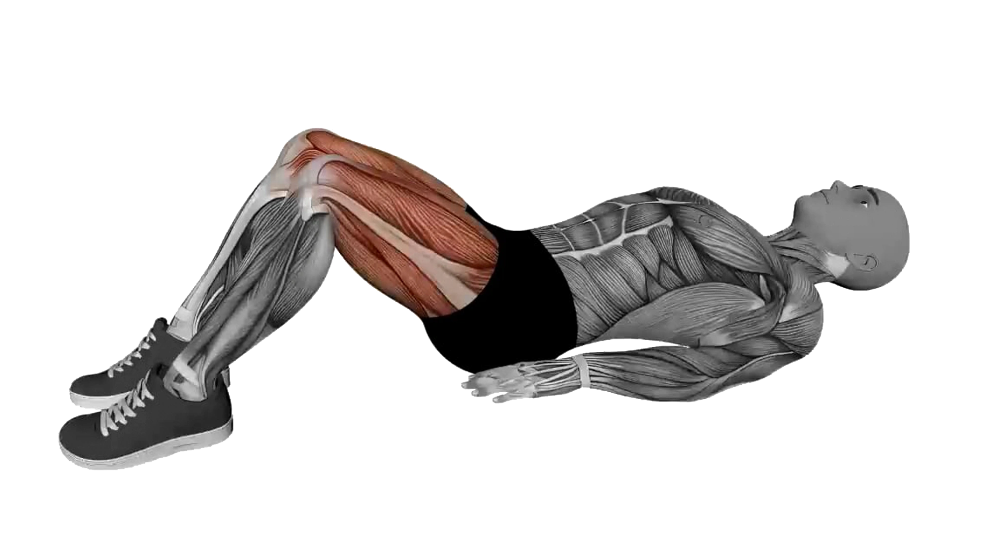 04_Legs