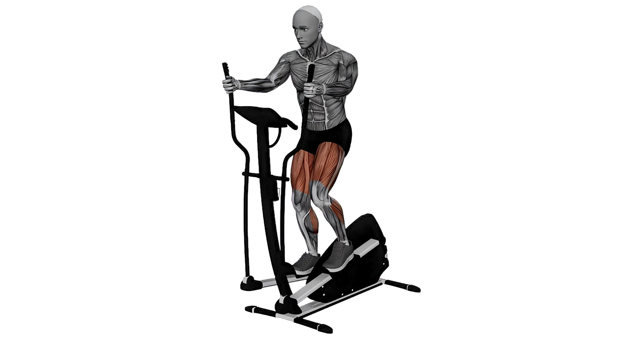 05_Cardio