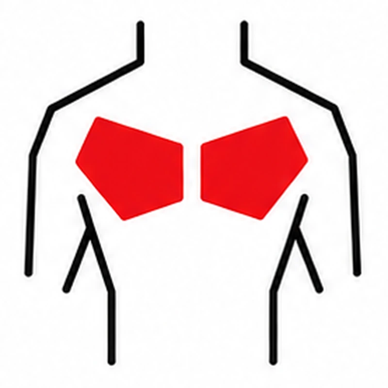 06_Chest_800x800
