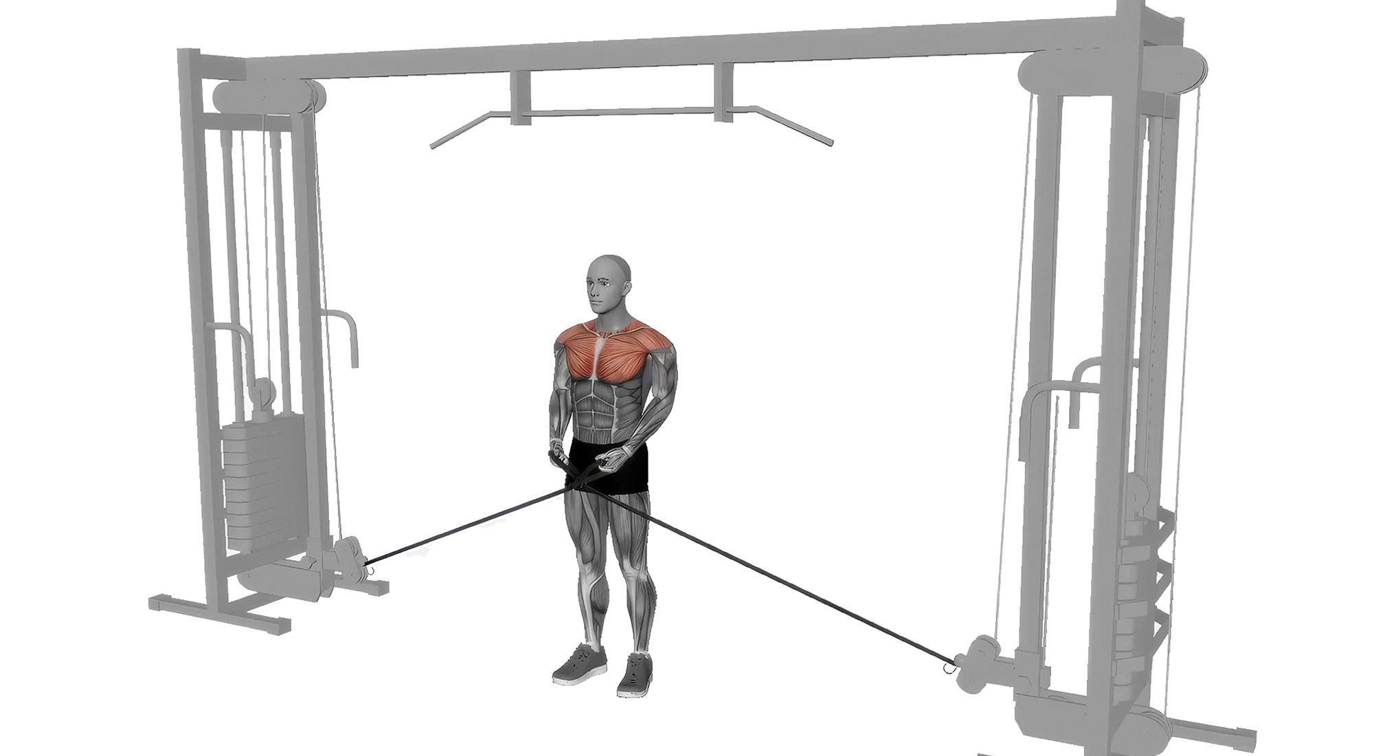 06_Shoulders