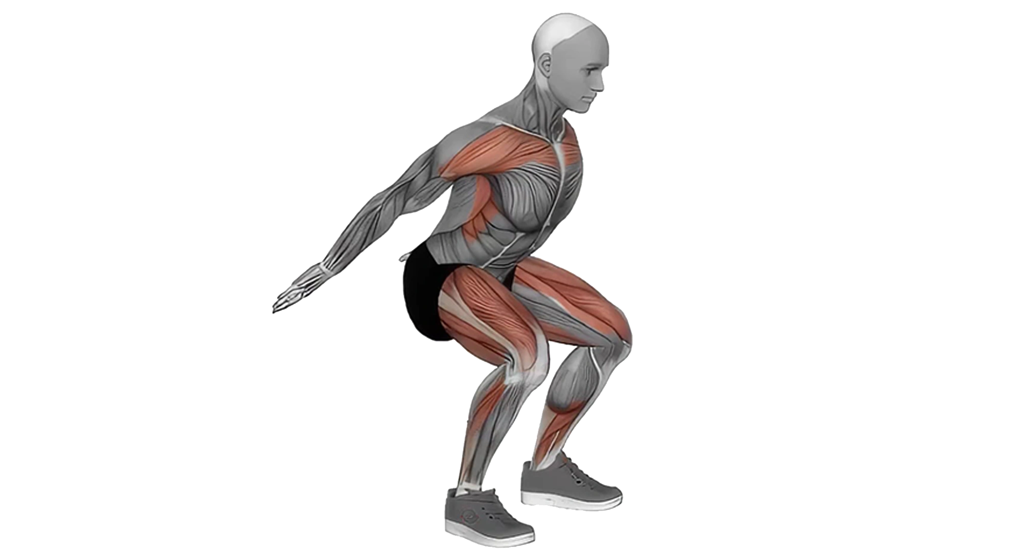 07_Cardio
