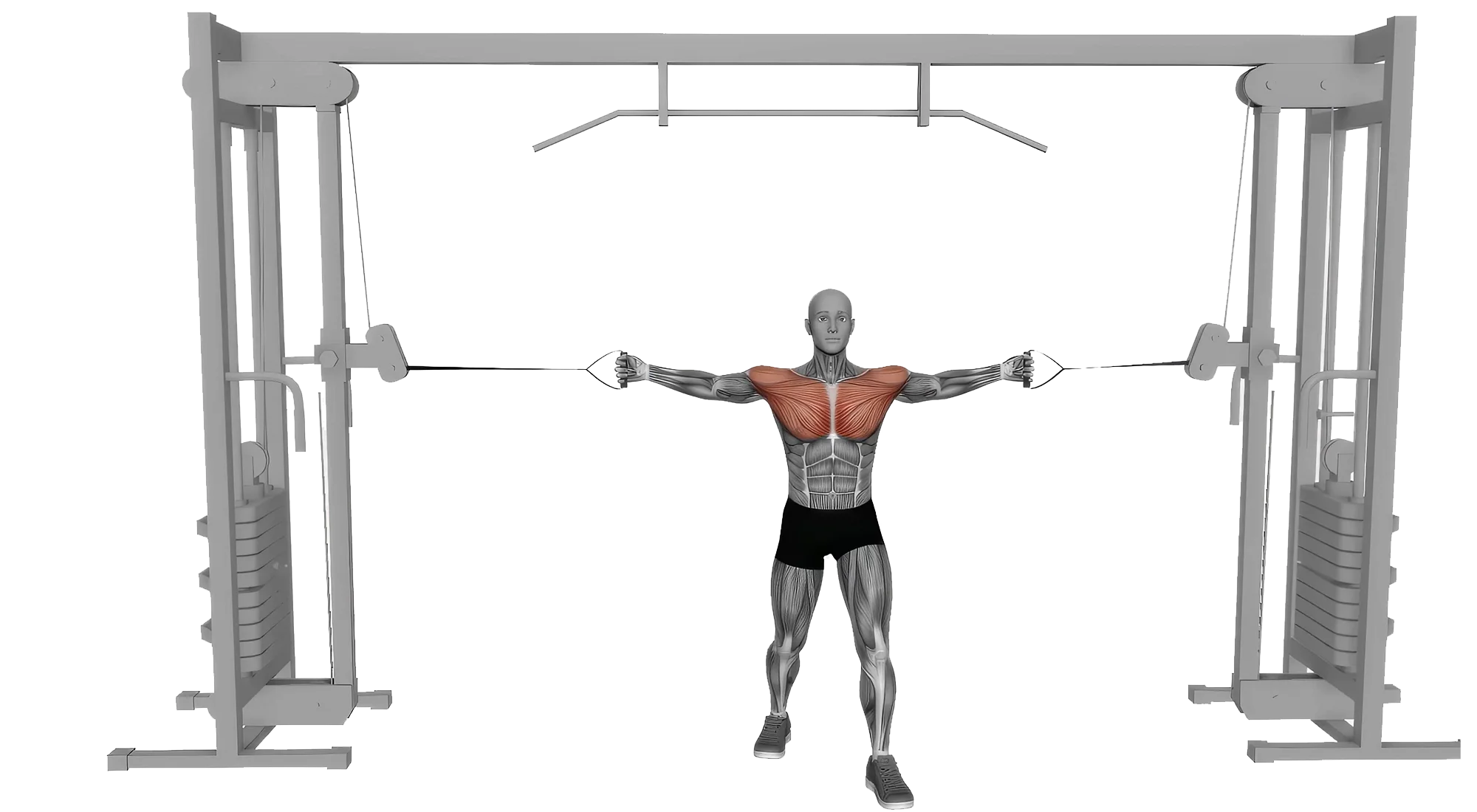 07_Chest