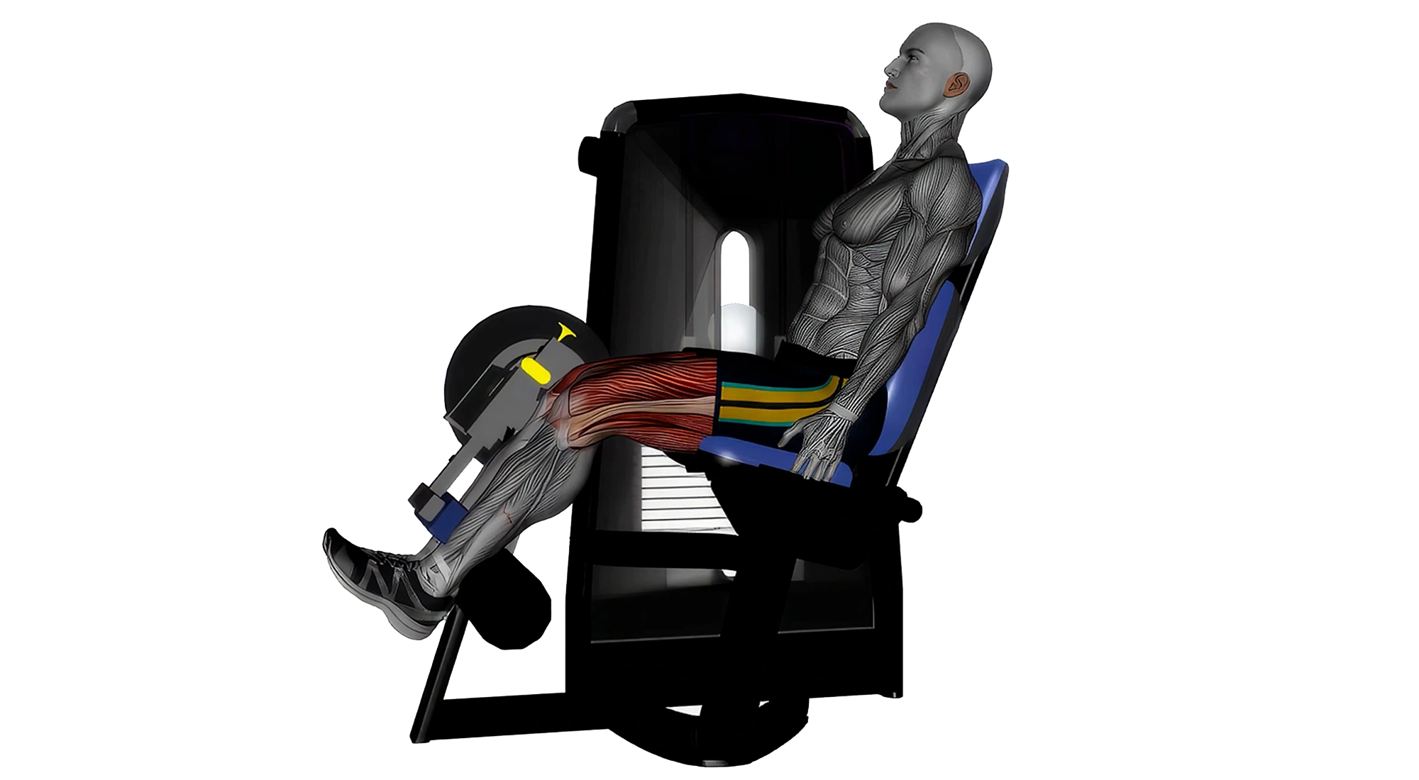 07_Legs