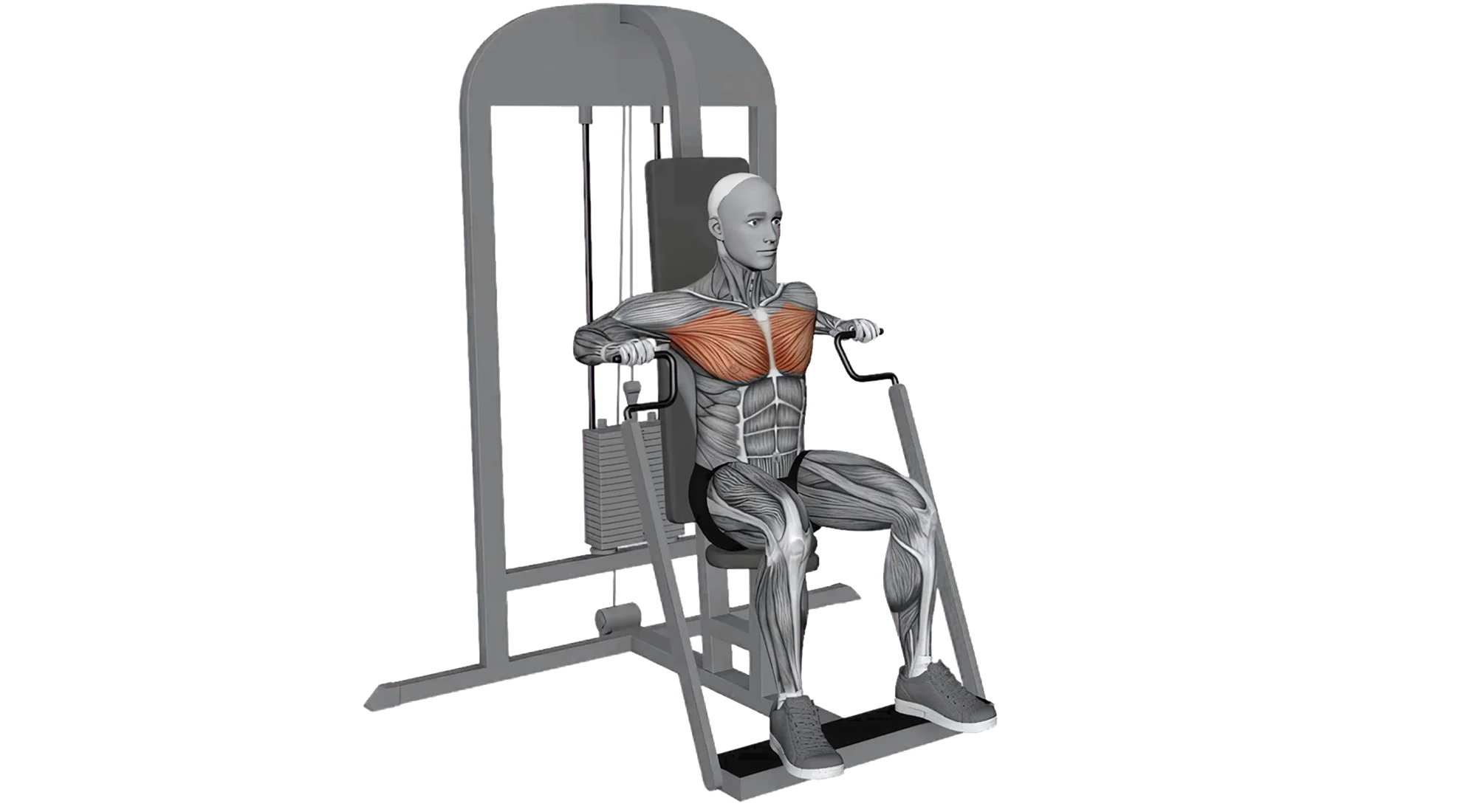 08_Chest