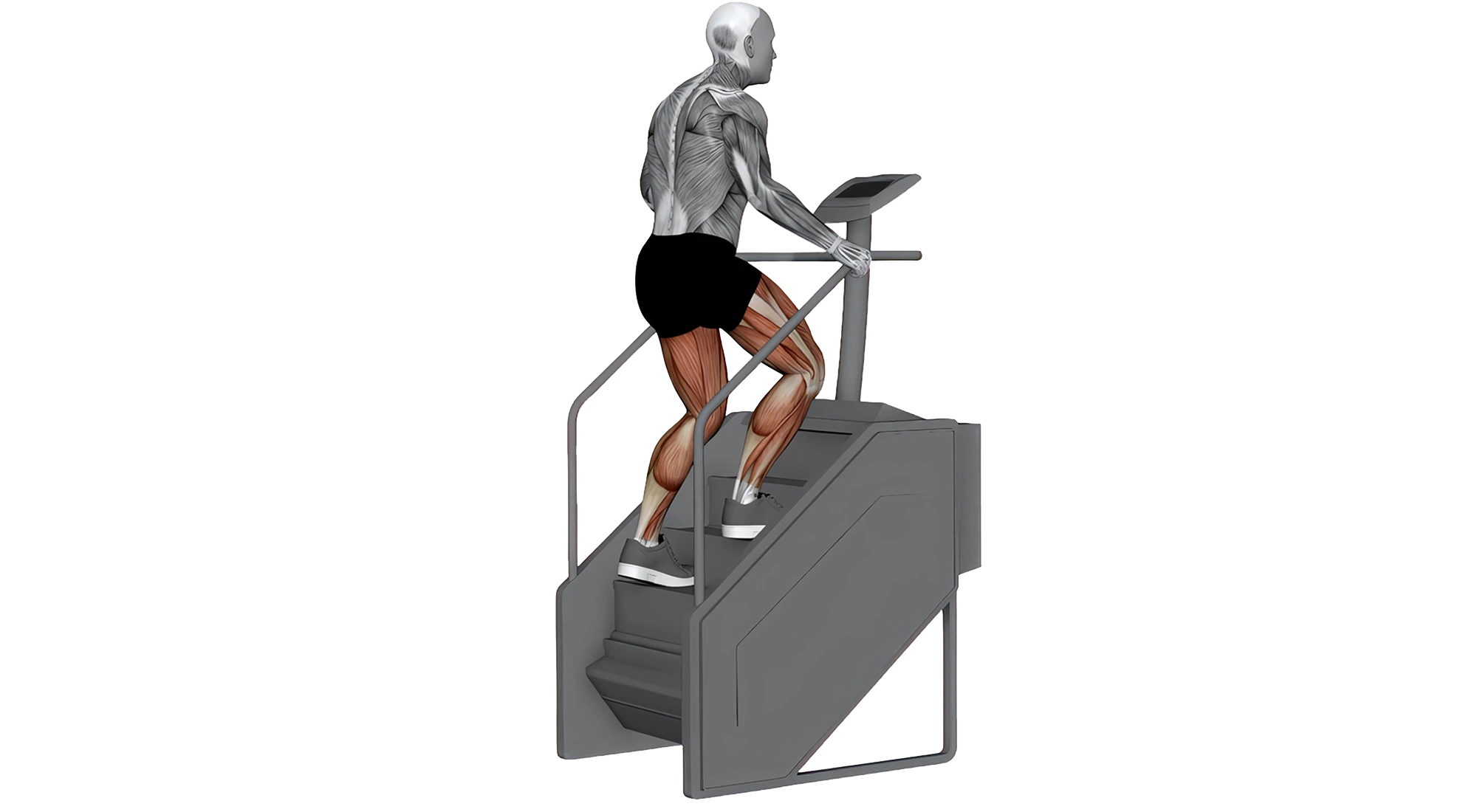 09_Cardio