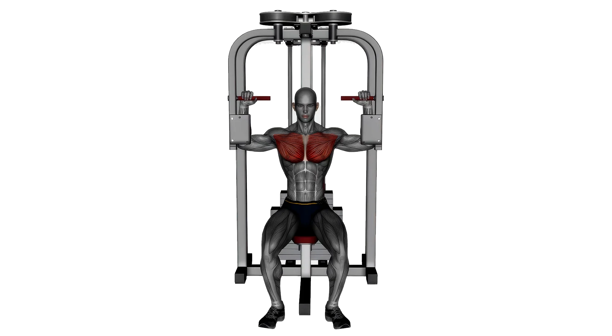 09_Chest