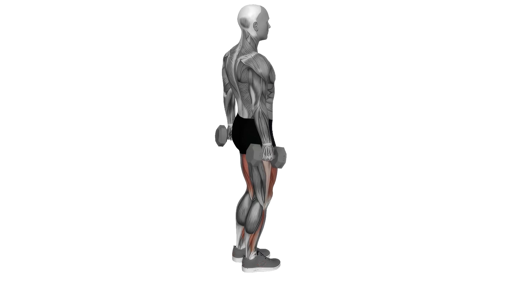09_Legs