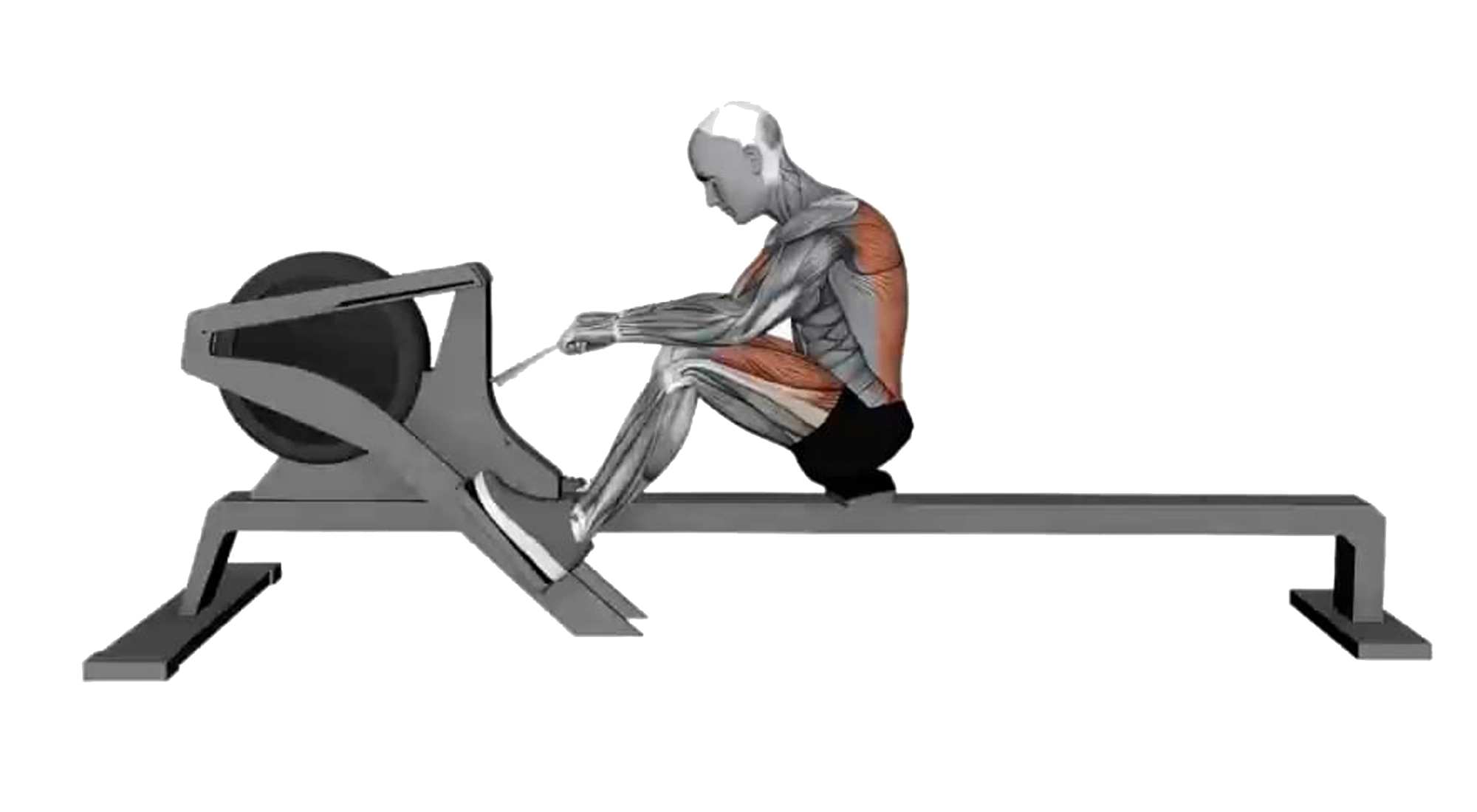 10_Cardio