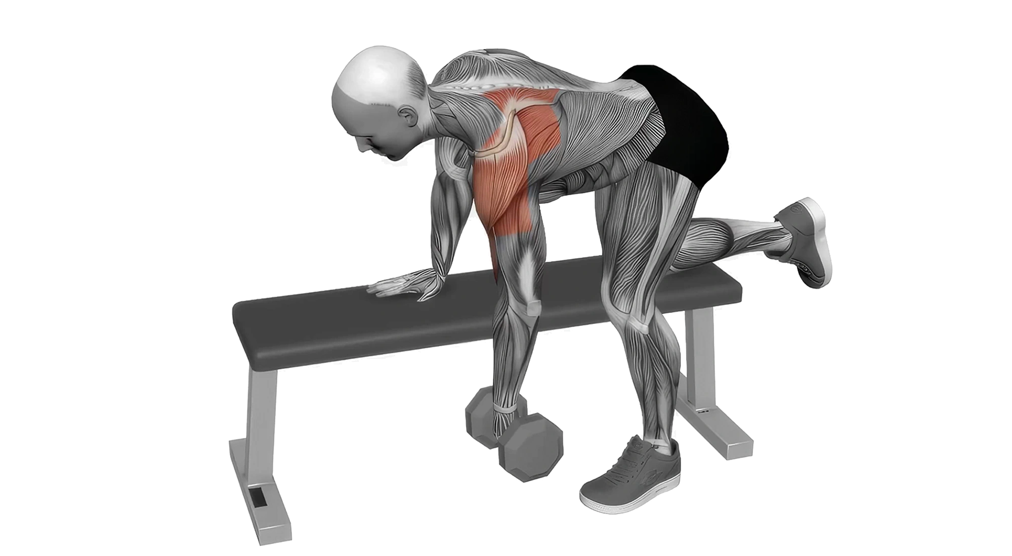 10_Shoulders