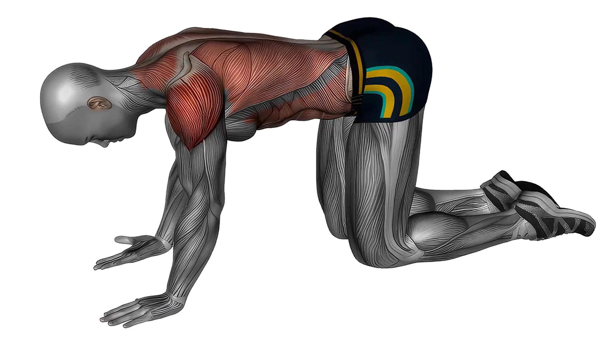 10_Stretch