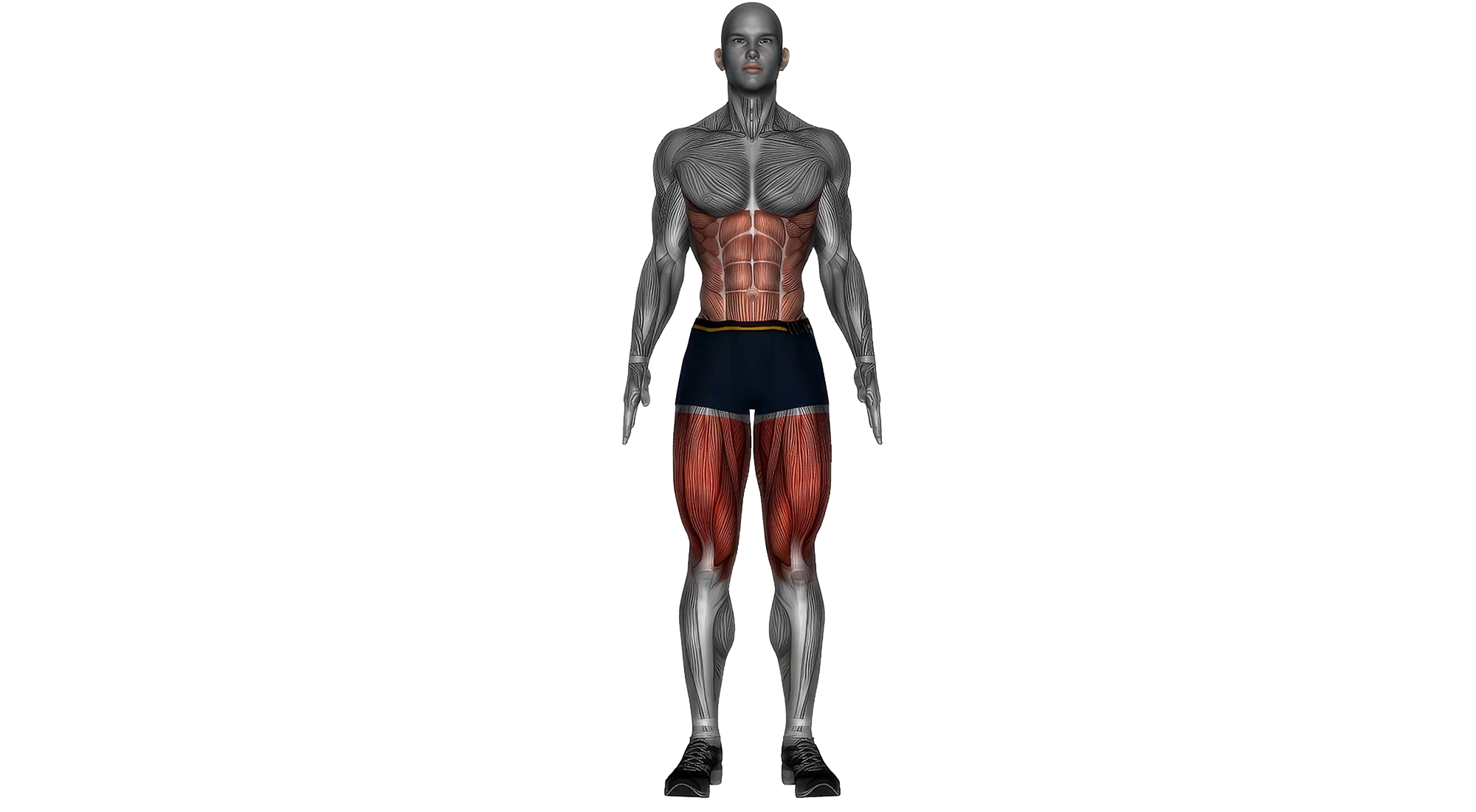 11_Cardio