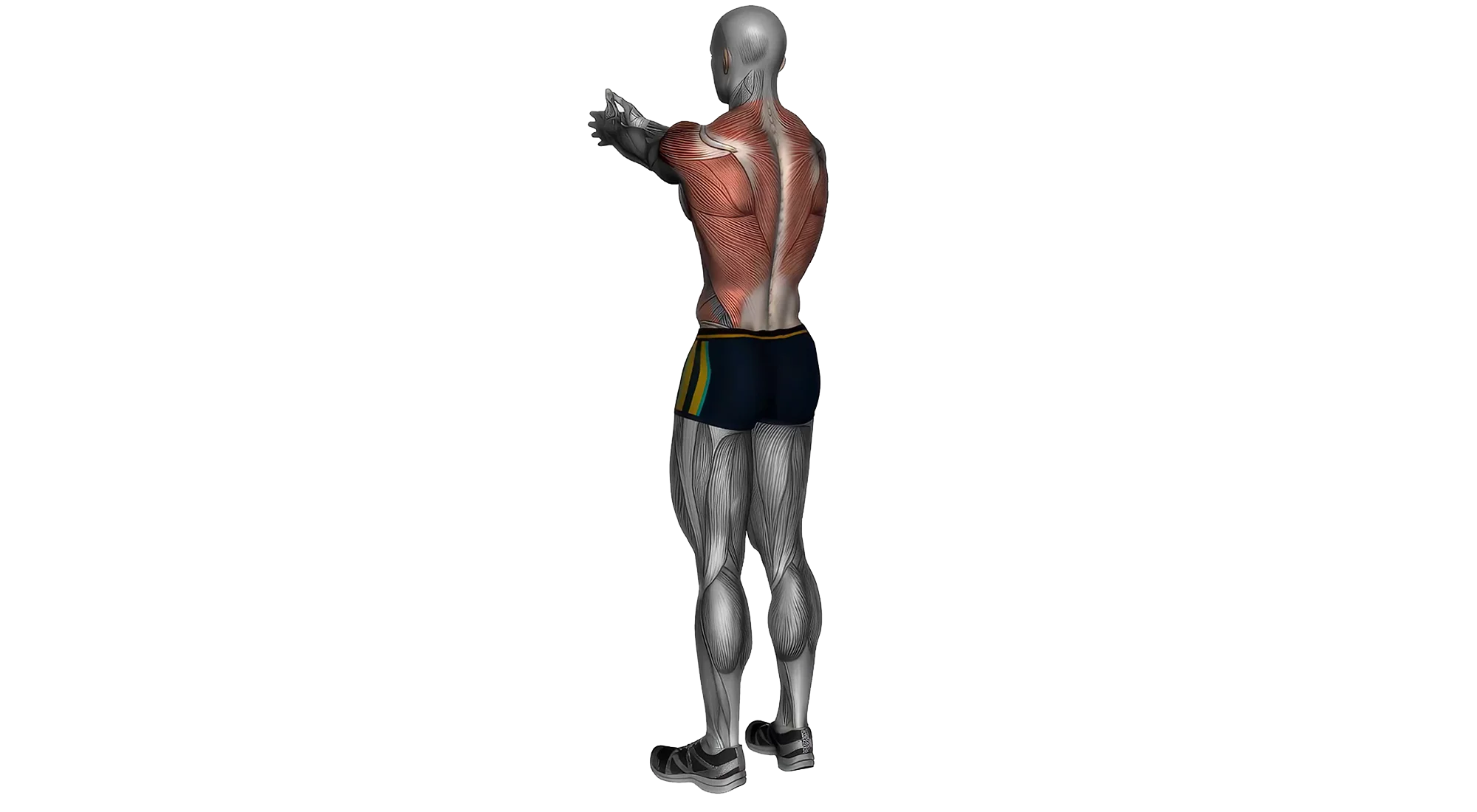 11_Stretch