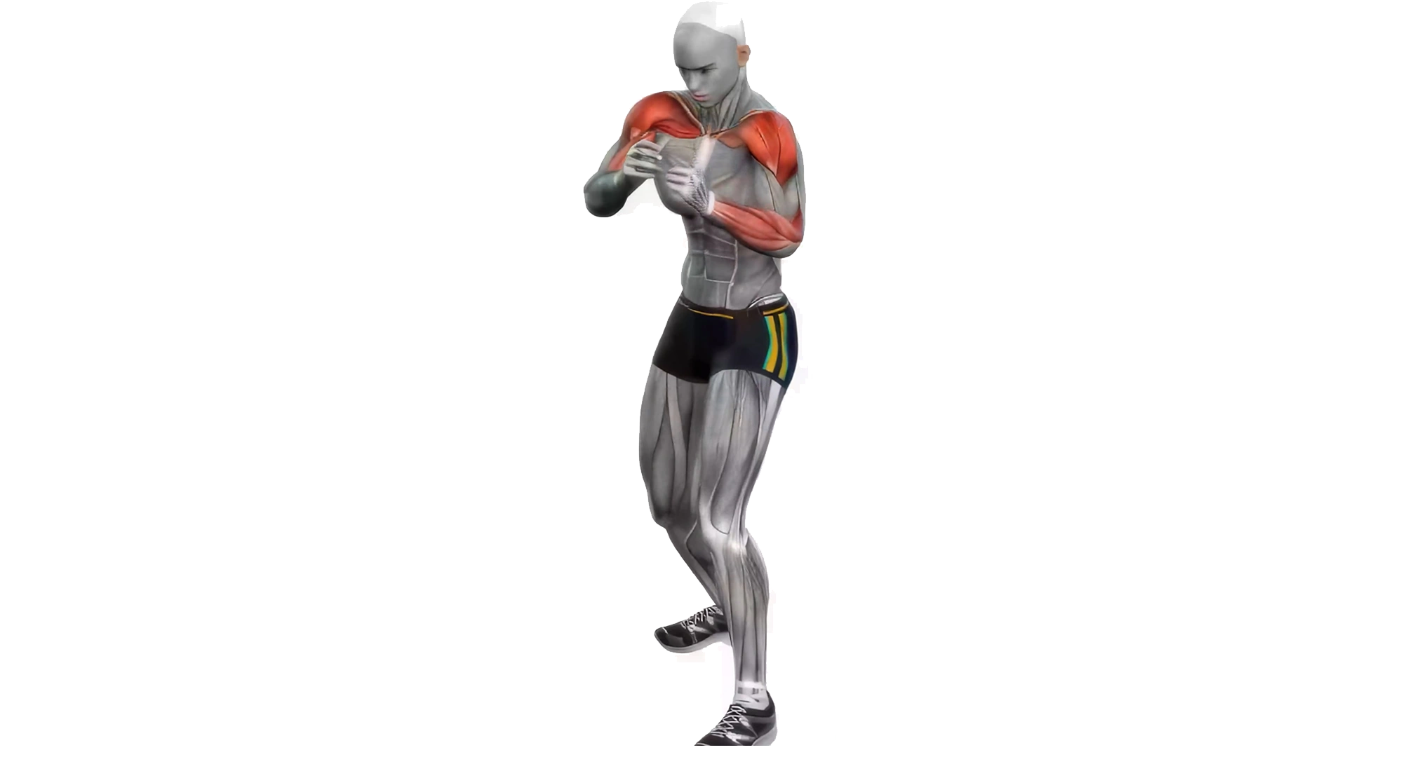12_Cardio