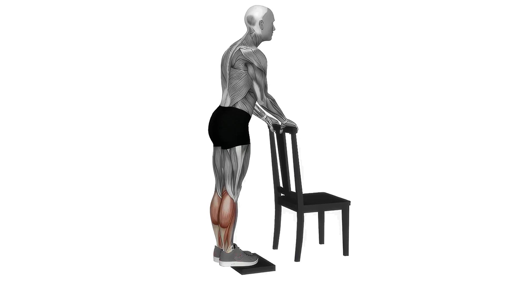 12_Legs