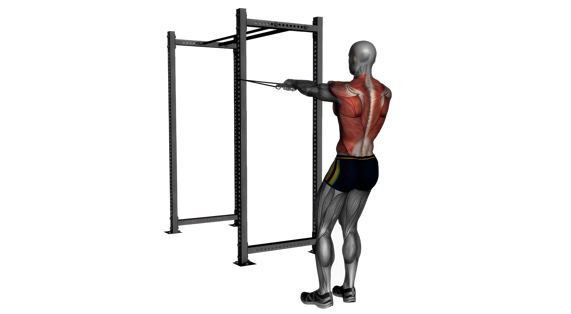12_Shoulders