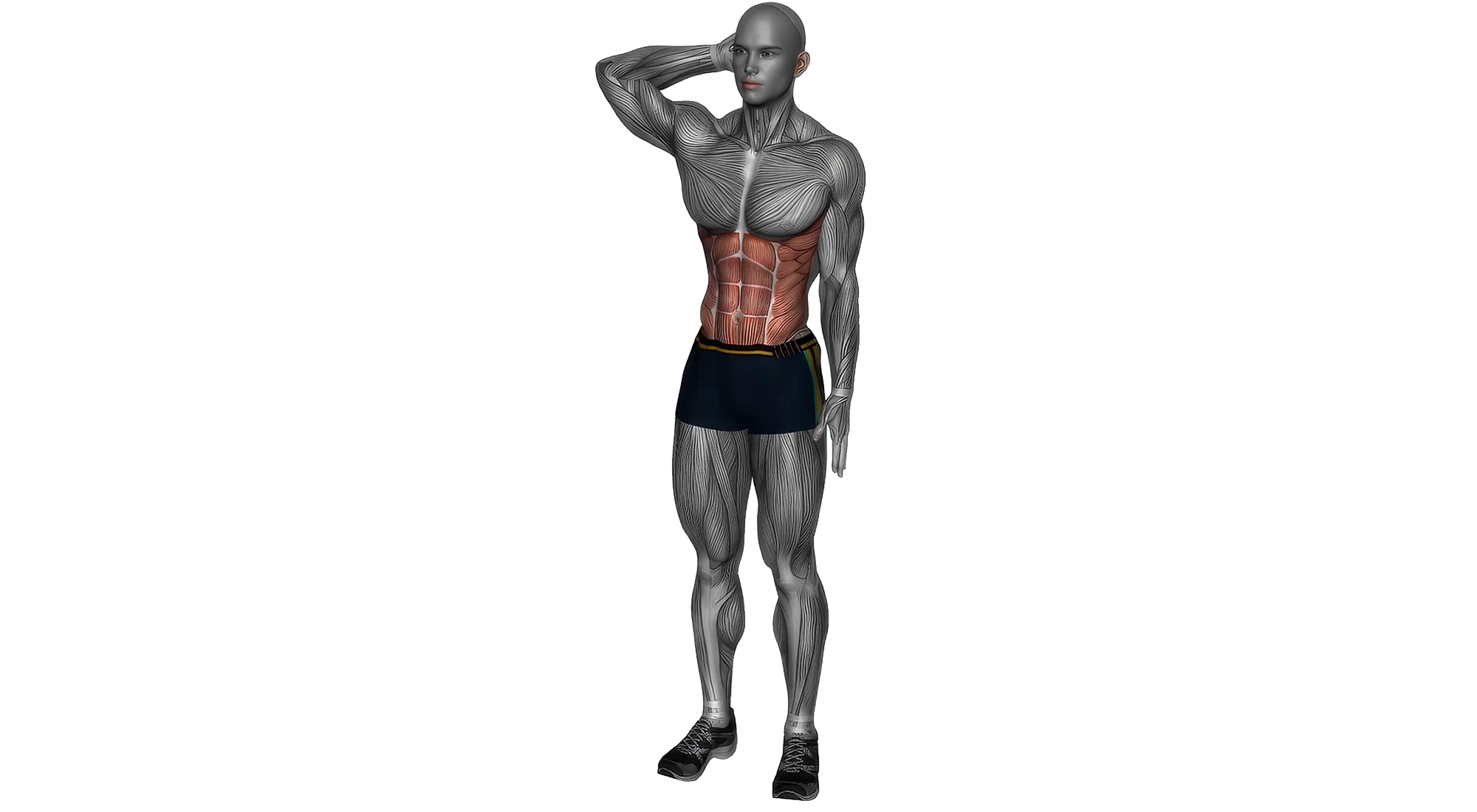 12_Stretch