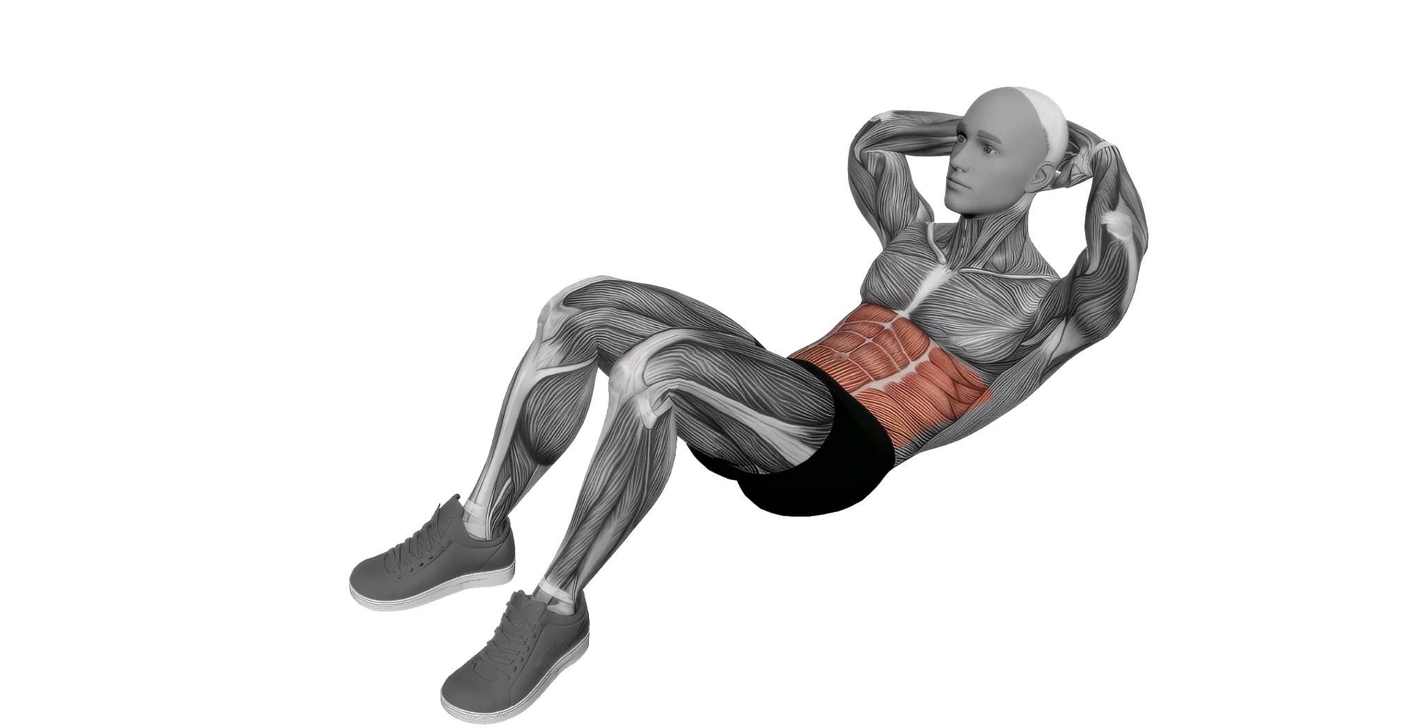 ABS-001-Thumb2