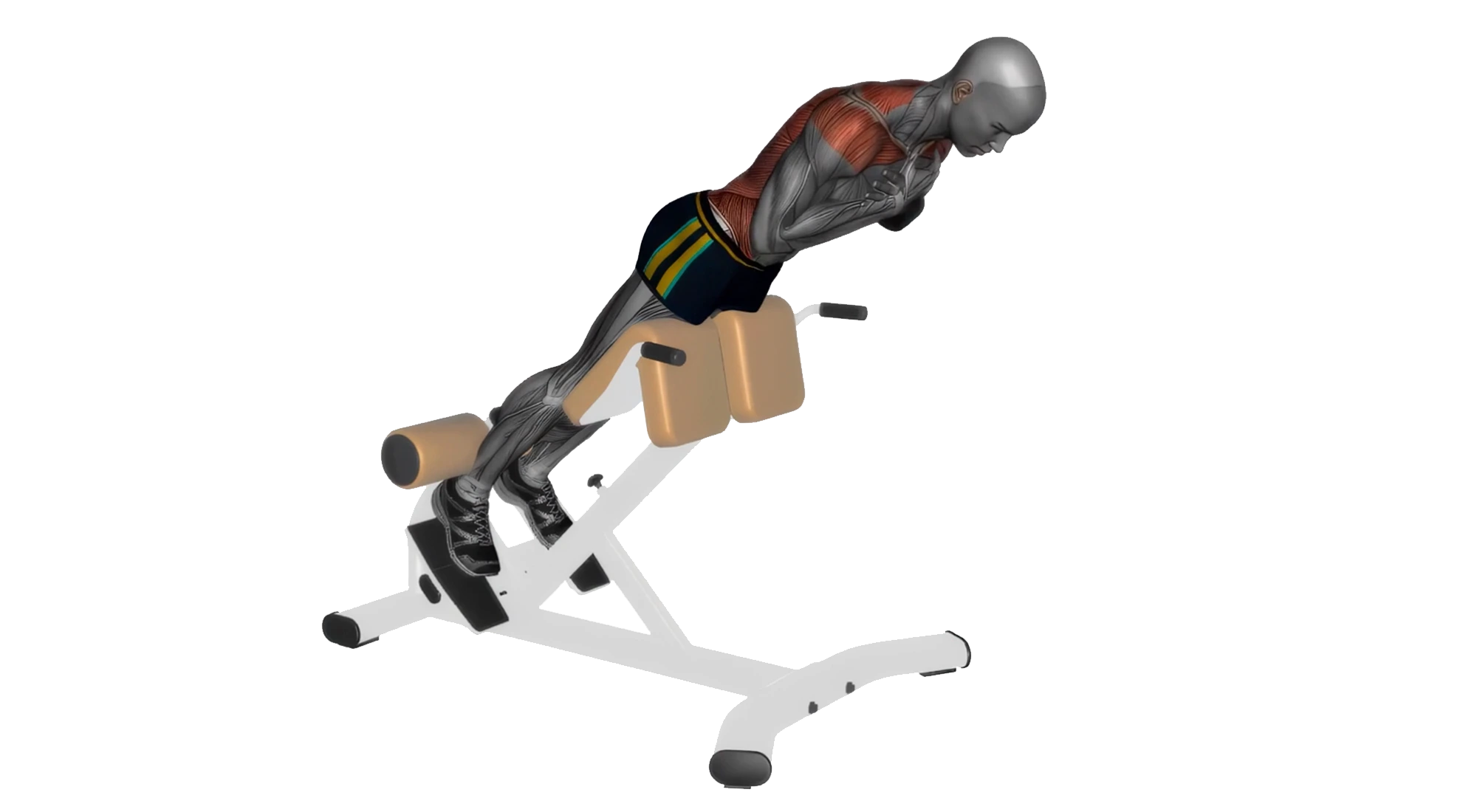 Back Extension