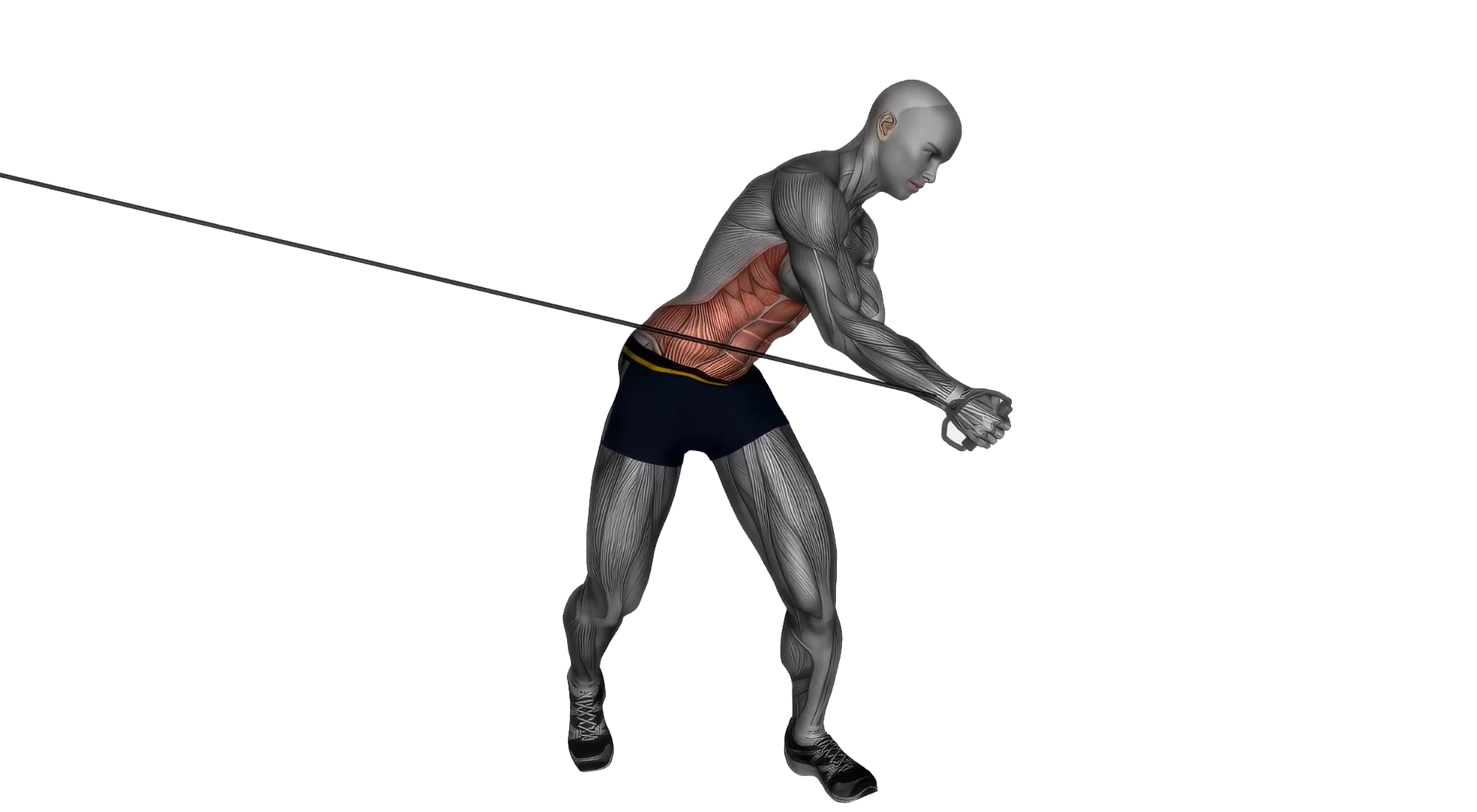 Cable-Chop
