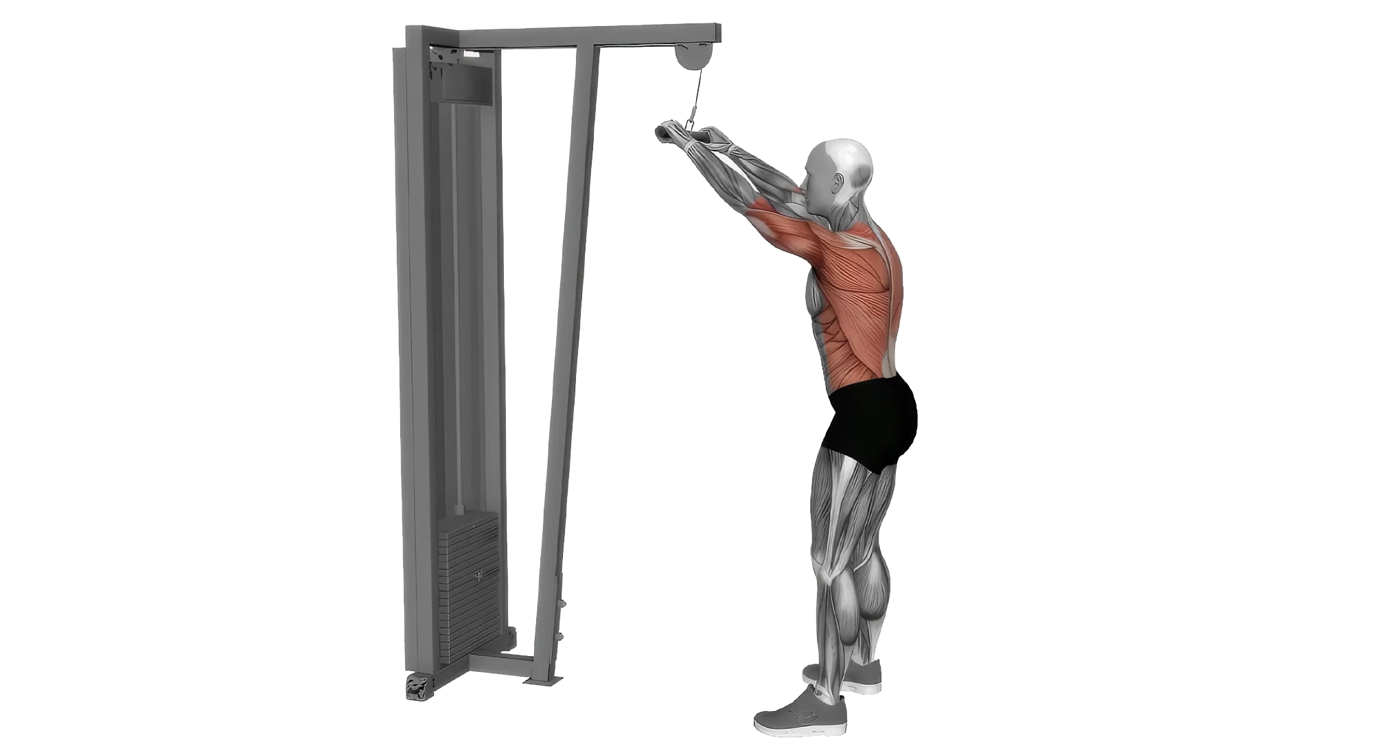 Cable-Pull-Down