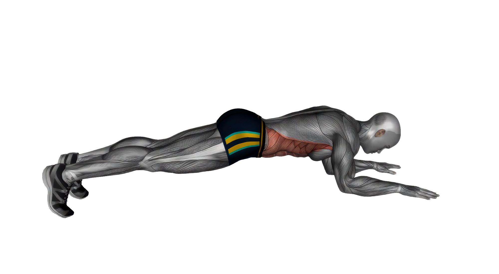 Elbow Plank