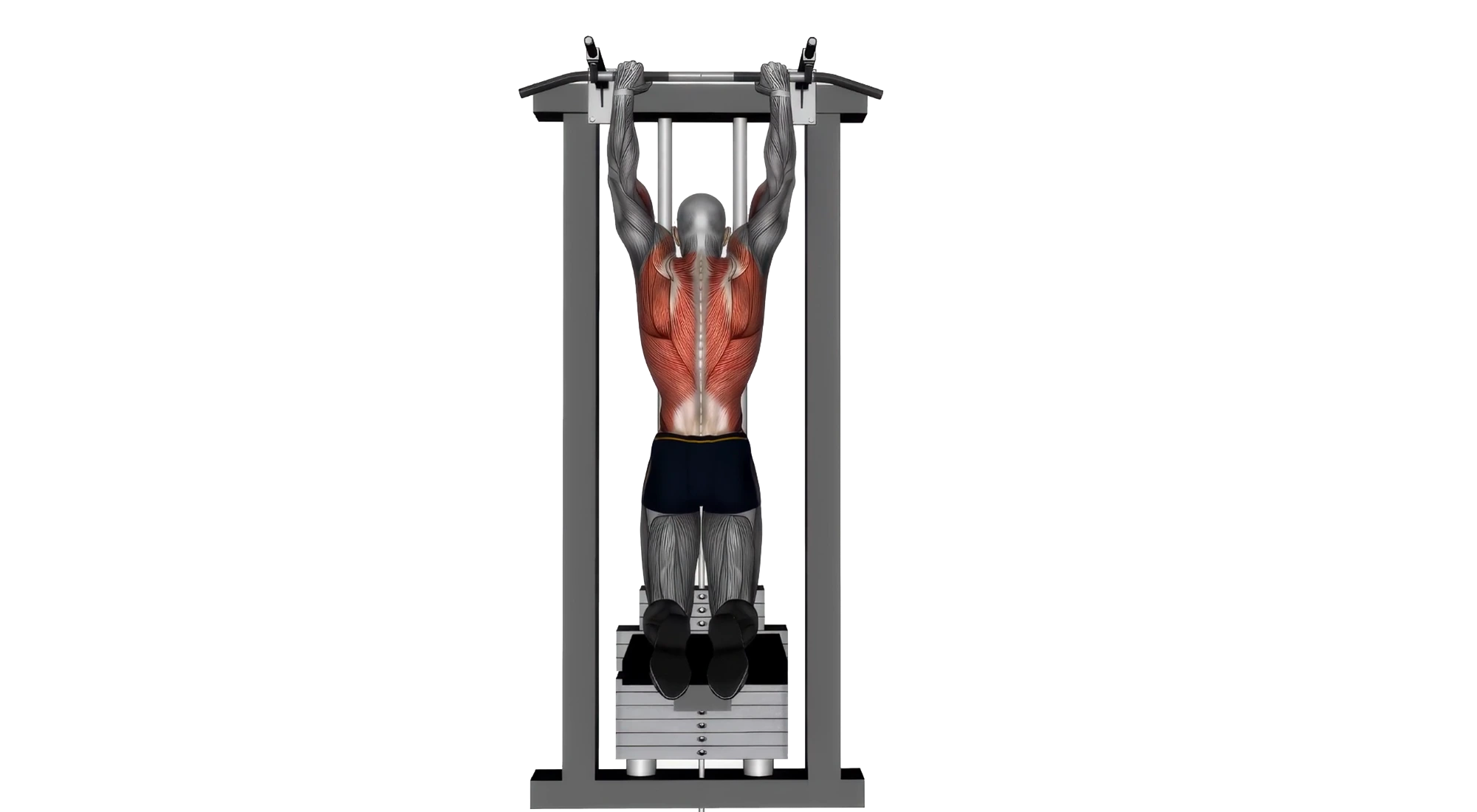 Guided Pull-up2
