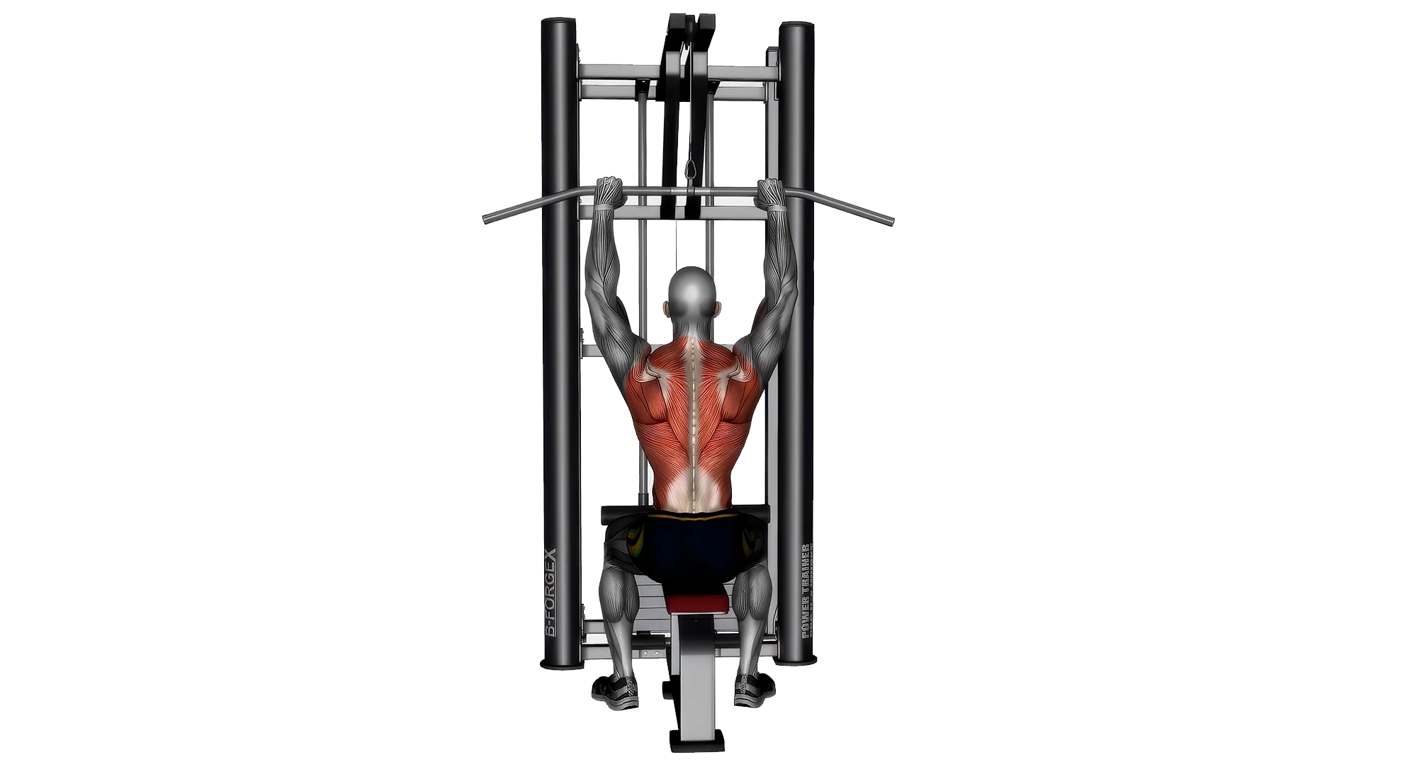 Lat-Pull-Down