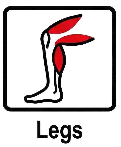 Legs