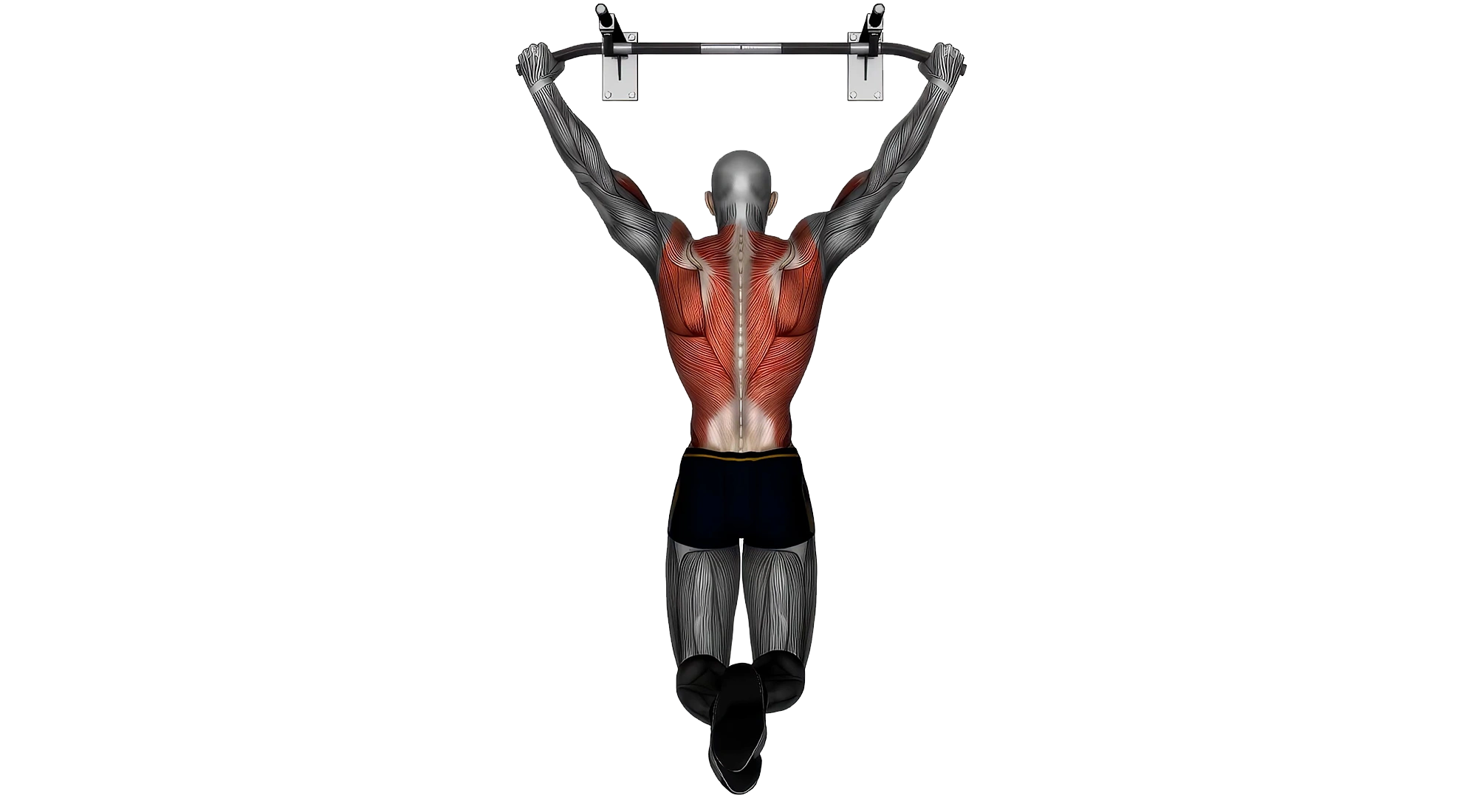 Pull-Up-Wide-Grip