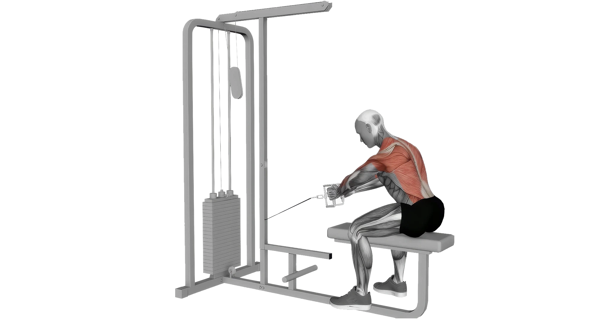 Seated-Cable-Row-