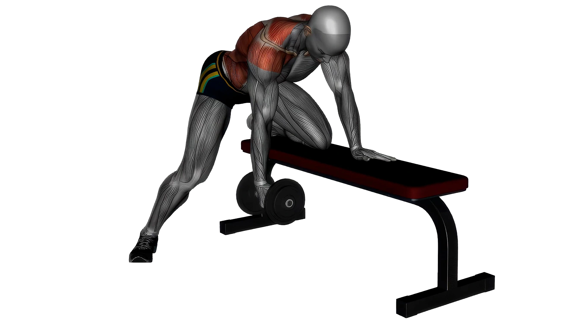 Single-Arm-Dumbbell-Row