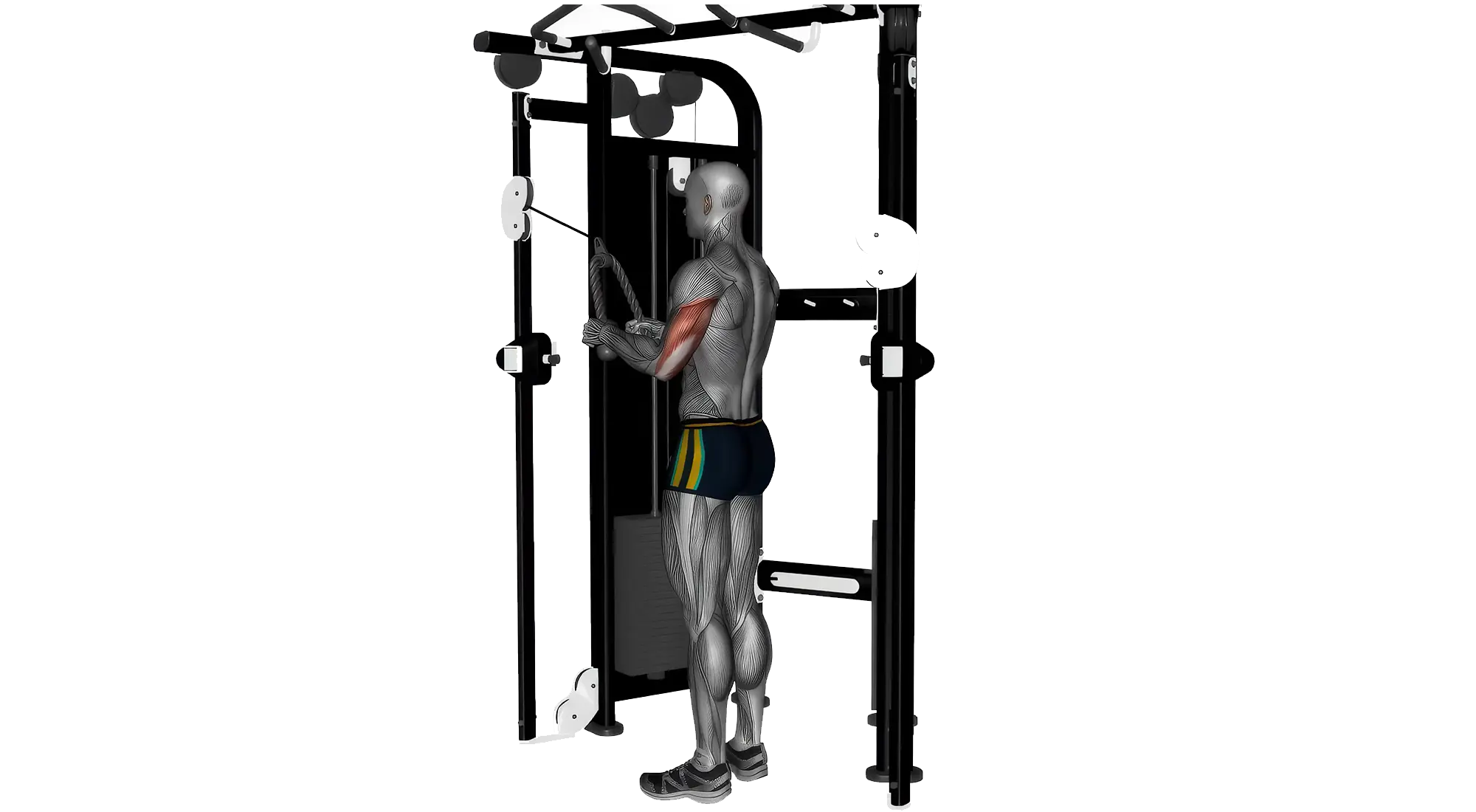 Tricep_01