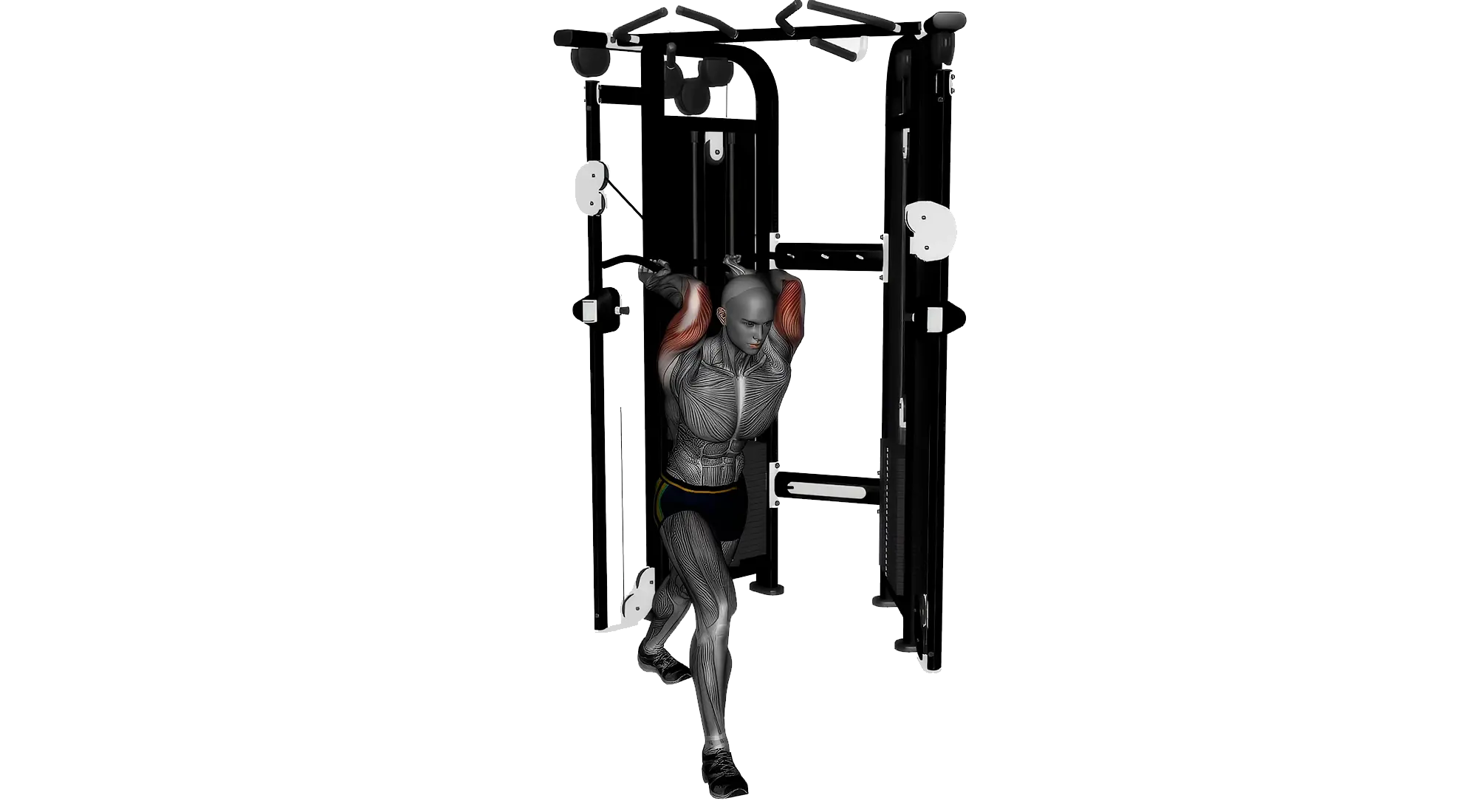 Tricep_02