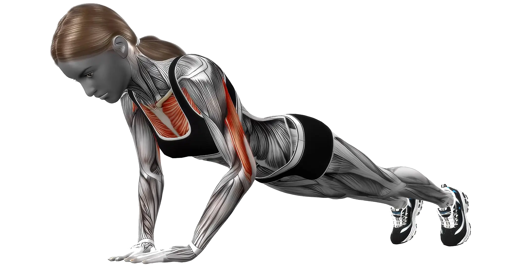 Tricep_06