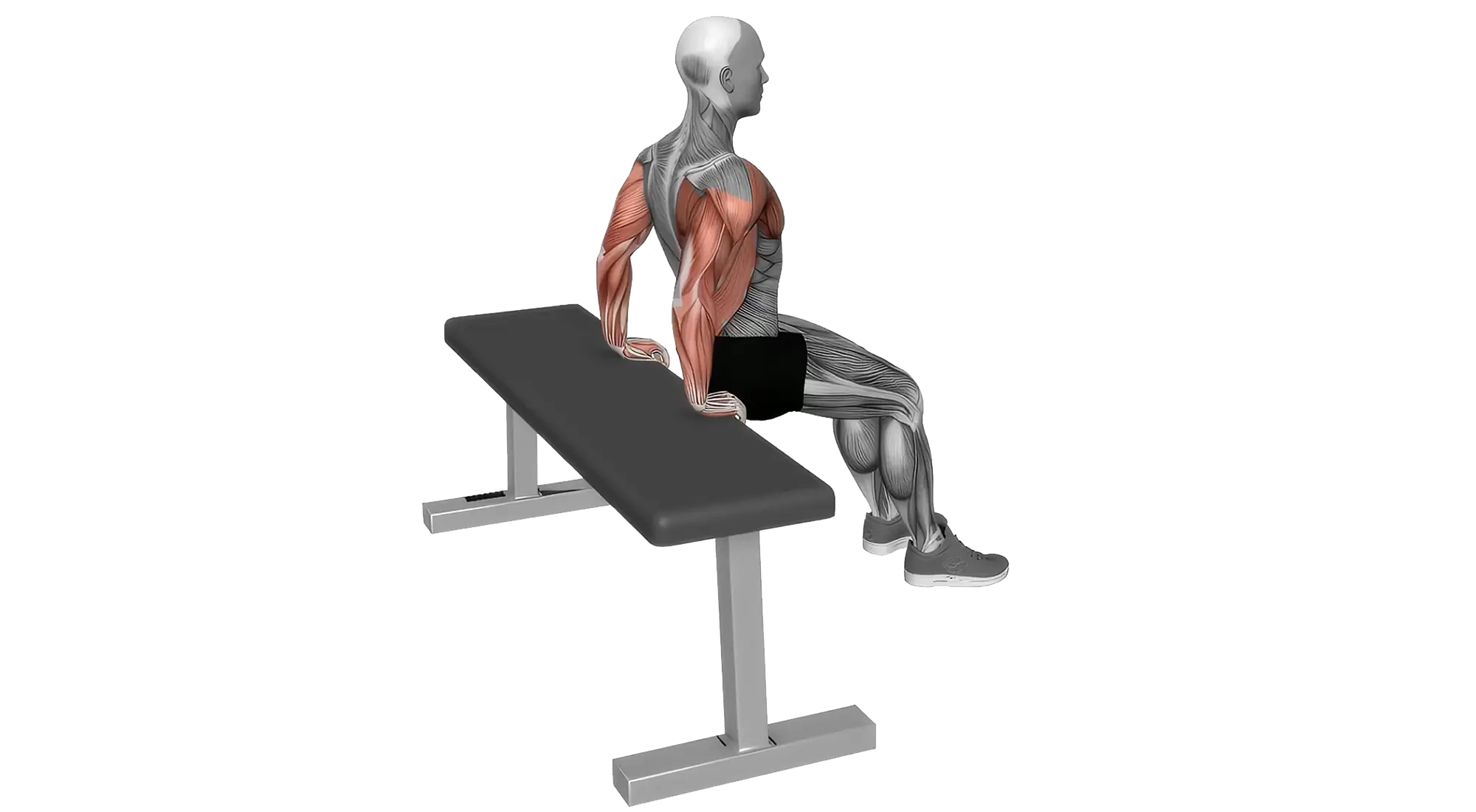 Tricep_07