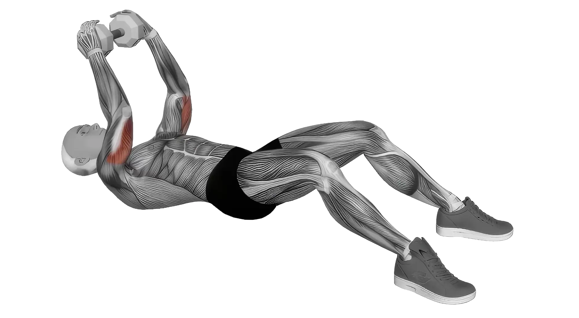 Tricep_08