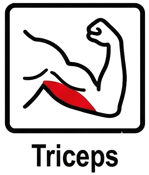 Triceps